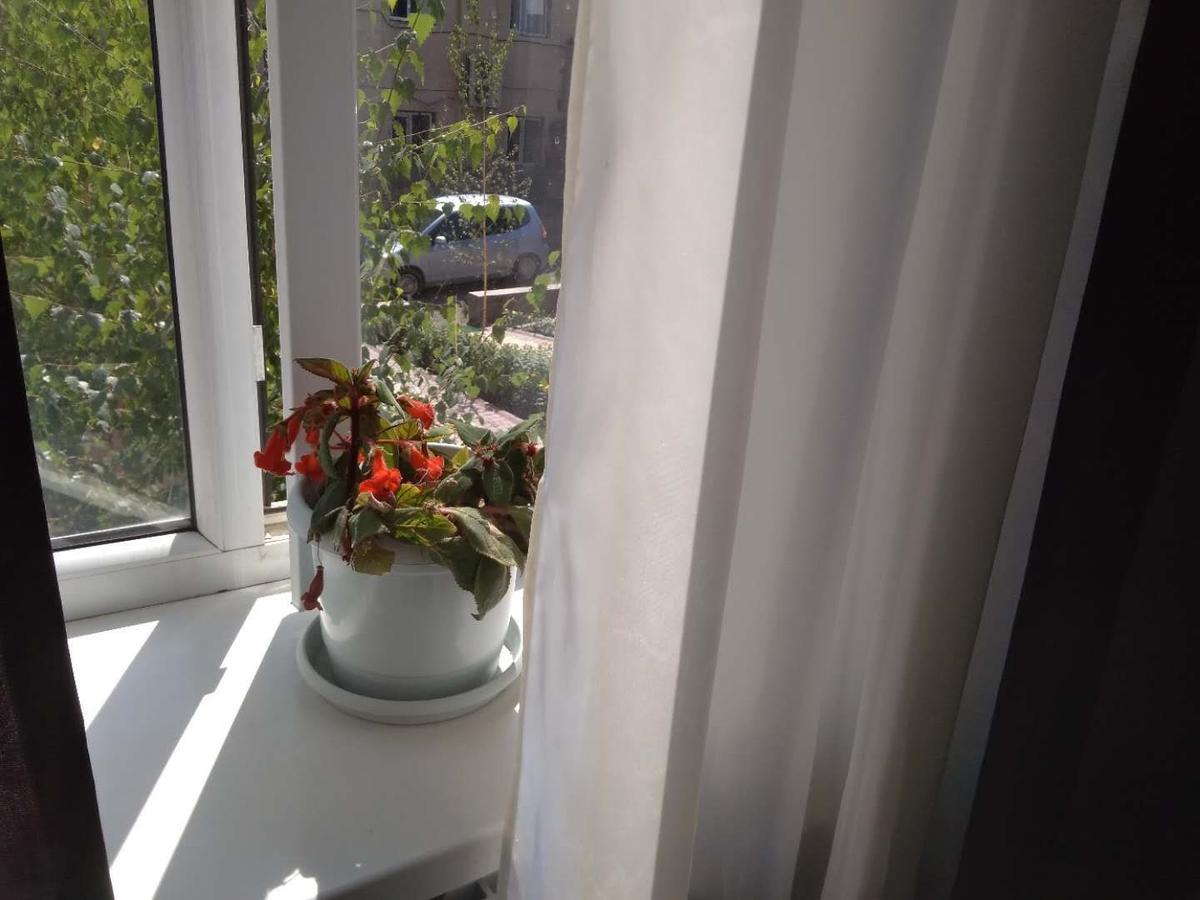 Saima Guest House Osz Zewnętrze zdjęcie